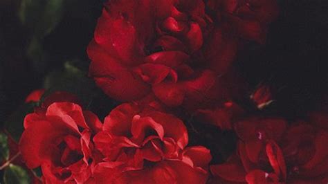 Neon aesthetic, pink color, colored background, water, no people. Pin by tad on HS / id — ARADIA MEGIDO | Pinterest | The ...