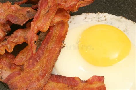 Fried Egg And Bacon Stock Photo Image Of Eating Protein 2003938