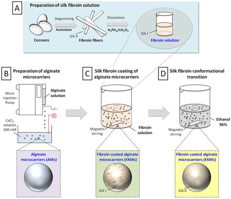 Schematic Representation Of Production Process Preparation Of Silk