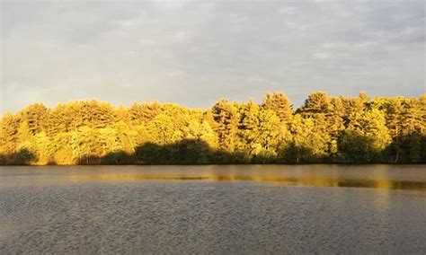 Beauty and wellness services in methuen, ma. Methuen 2021: Best of Methuen, MA Tourism - Tripadvisor