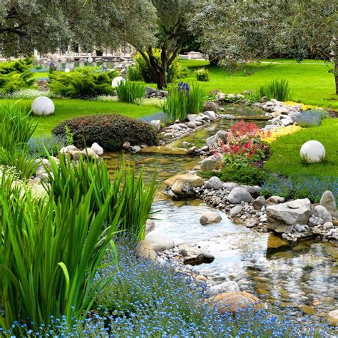 19 Garden Pond Plants Ideas You Cannot Miss Sharonsable