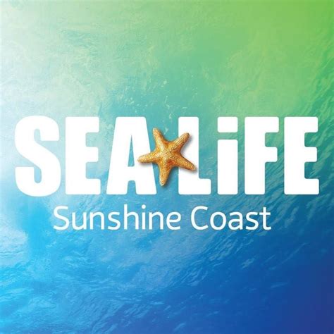 Sea Life Sunshine Coast Penguins Advanced Aquarium Technologies