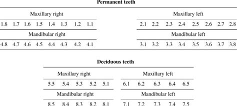 FDI tooth numbering system - American Journal of Orthodontics and