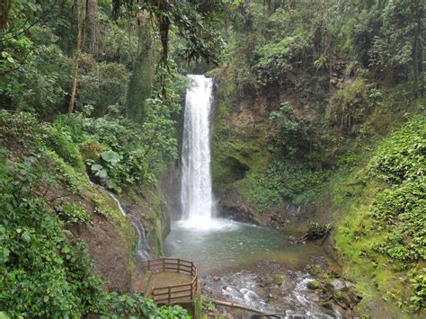La Paz Waterfall Its Beauty Make It Attractive To Both Locals And