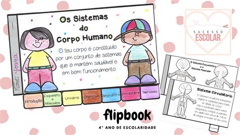 Os Sistemas Do Corpo Humano Flipbook Sucesso Escolar