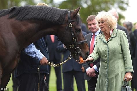 Camilla Looks Bemused As She Feeds Horses During A Visit To The