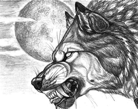 Werewolf Wolf Sketch Wolf Drawing Werewolf Art
