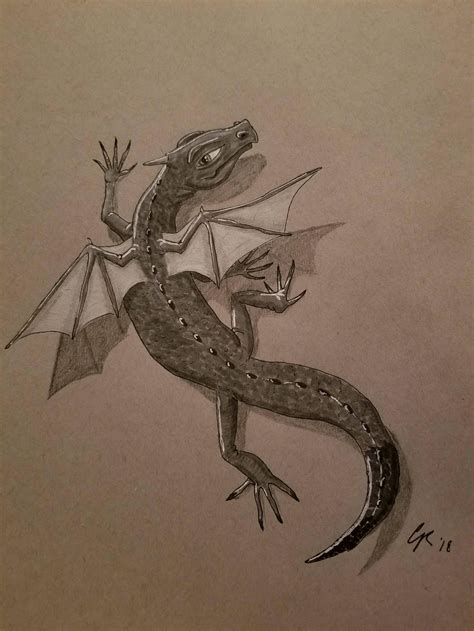 Lizard Drawing Skill