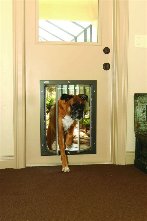 Plesidor X Large Dog Door For Installation In A Door Dog Door Pet