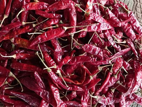 Dry Red Chilli Manufacturer Exporter And Supplier From Haveri India