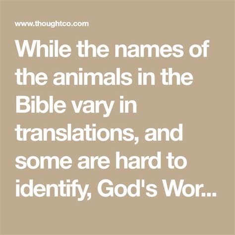 The Ultimate List Of Animals Mentioned In The Bible Animals In The