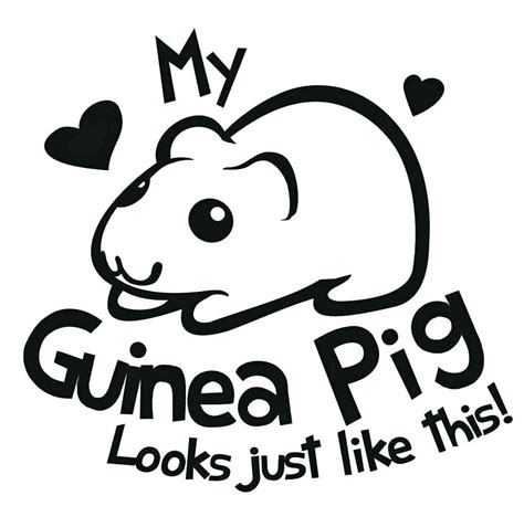 Search through 623,989 free printable colorings at getcolorings. Guinea Pig Coloring Pages - Best Coloring Pages For Kids
