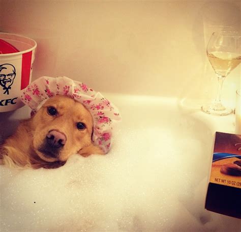 Celebrate National Bubble Bath Day With These Instagram Pups In Tubs