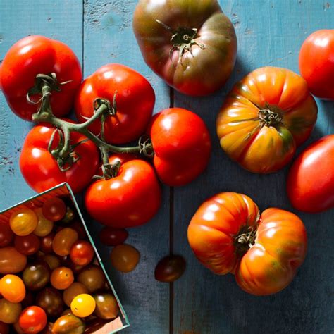 Are You Using The Right Type Of Tomato For Your Recipe Fresh Tomato