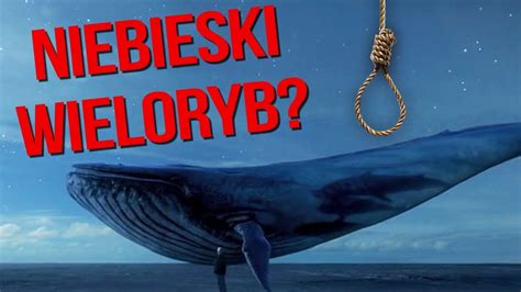 Dlaczego Niebieski Wieloryb Ma Tak Nazw Suchary Widz W Cda