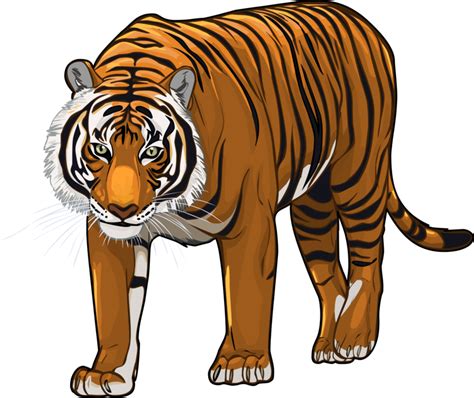 Tiger Png Transparent Images Tiger Face Angry Tiger Animal Free