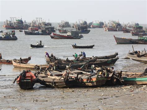 Thriving Marine Fisheries In Myanmar Advancing And Building A Pipeline