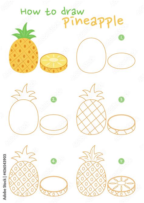 How To Draw A Pineapple Vector Illustration Draw A Pineapple Step By