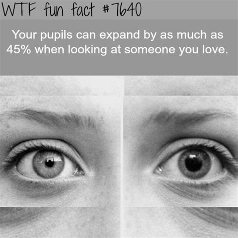 Wtf Facts Page 387 Of 1605 Funny Interesting And Weird Facts