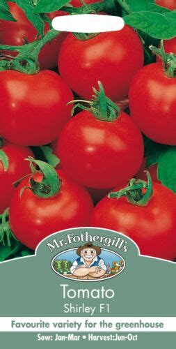 Tomato Seeds Shirley F1 Mr Fothergills Vegetable Free Uk Delivery Sow