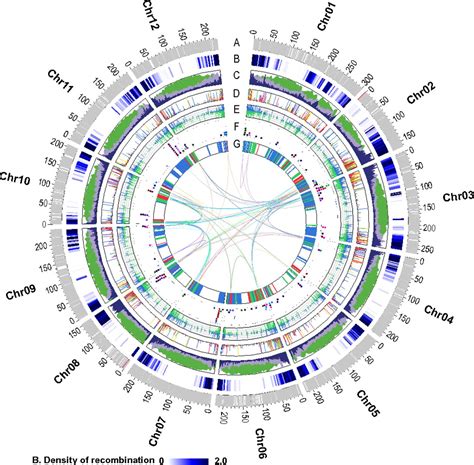 Whole Genome Sequencing Of Cultivated And Wild Peppers Provides Insights Into Capsicum