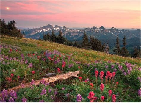 We will build it with only html and css. Nature Desktop Wallpaper Images Slideshow - WallpaperSafari