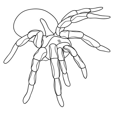 15 Best Halloween Spider Coloring Pages Printable PDF for Free at