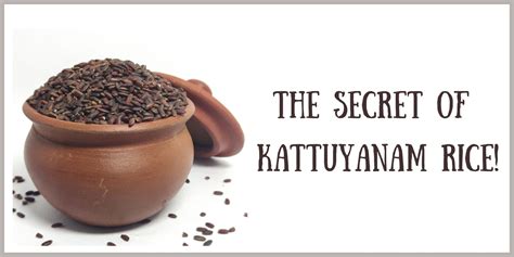 The Secret Of Kattuyanam Rice Uyir Organic Farmers Market