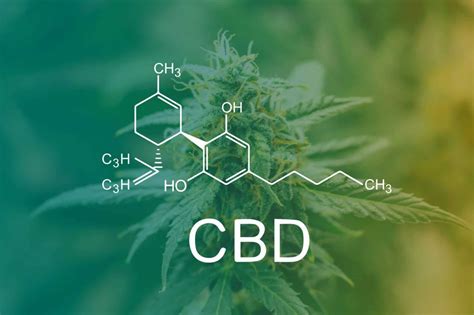 what are the different cbd compounds and their proven health benefits viral rang