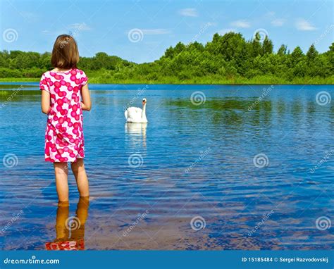 Human And Nature Stock Photo Image Of Environment Park 15185484