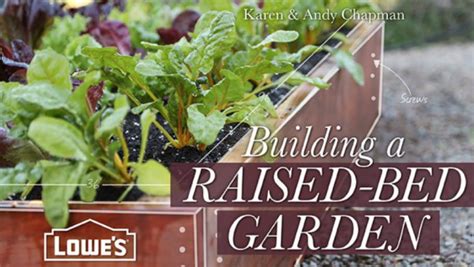 How To Build A Raised Bed Garden Beneath My Heart