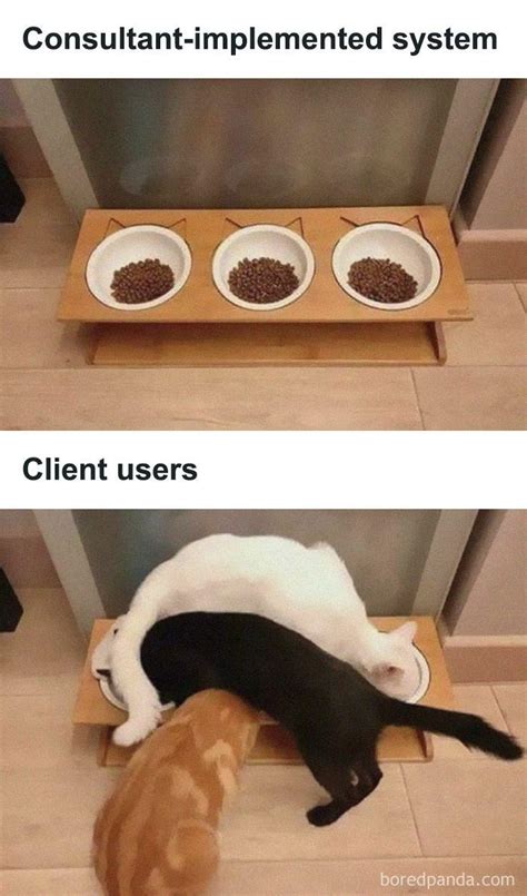 “consulting Humor” 35 Painful Yet Funny Work Memes That Might Remind