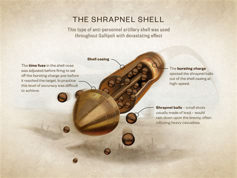 The Shrapnel Shell Ngā Tapuwae Trails