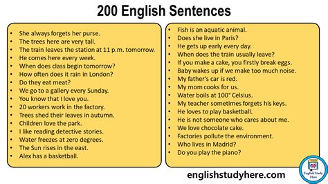 1000 Sentences Examples In English English Study Here