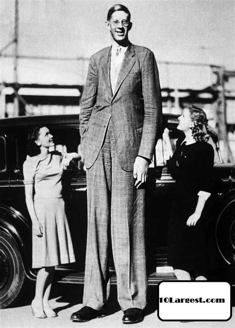 Tallest Man Ever Guinness World Records