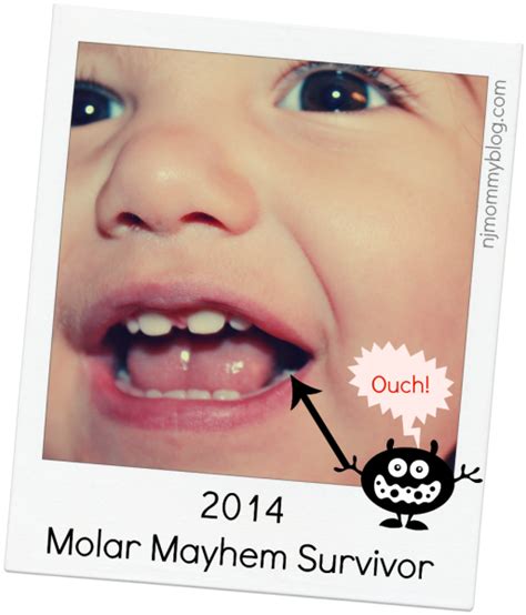 Toddler Teething Signs And Symptoms Of The First Molars Nj Mommy Blog