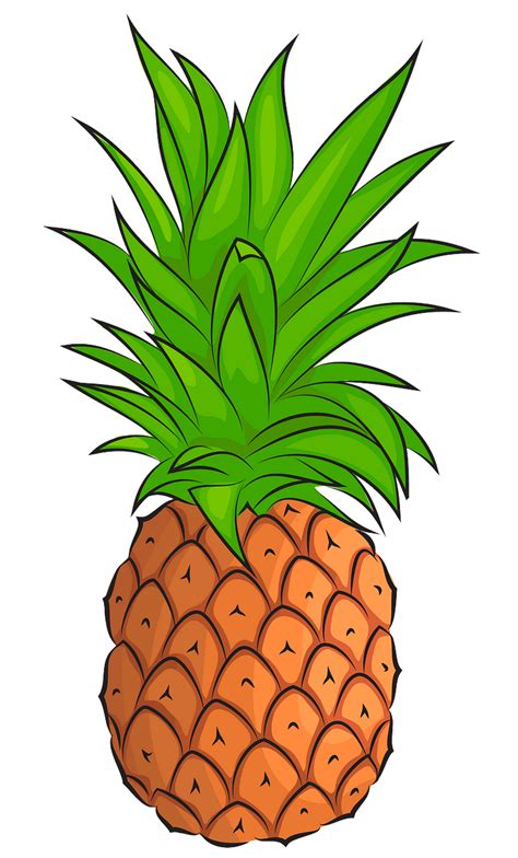 Pineapple Pictures Clipart 10 Free Cliparts Download Images On