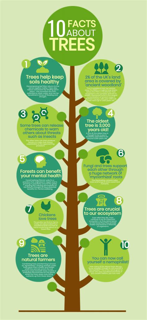 10 Fun Facts About Trees In 2021 Fun Facts 10 Interes
