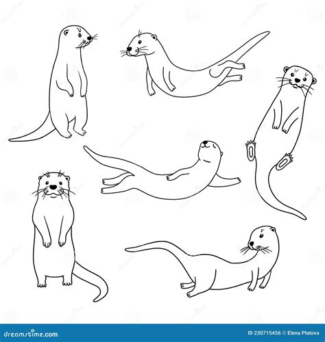 Cute Otters In Different Actions Vector Outline Illustrations Isolated