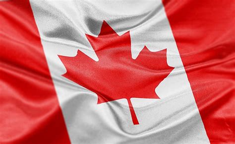 In this section, we'll look at canada's standard symbols of nationhood, such as flags, crests, official we'll also take a look at the standard list of famous canadians whose accomplishments and fame. National, Provincial, And Territorial Symbols Of Canada ...