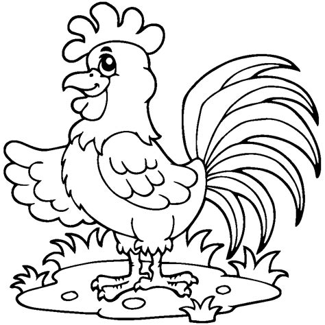 Mewarnai Gambar Ayam Jantan Berkokok Contoh Anak Paud