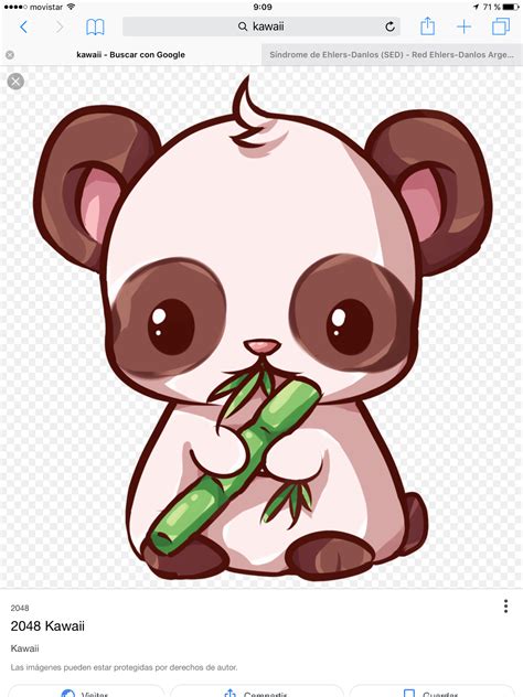 Mejores Dibujos De Animales Kawaii Gratis Riset