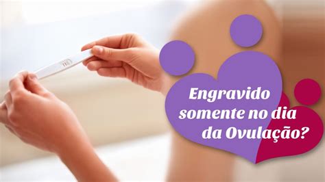 Engravido Somente No Dia Da Ovulação Youtube