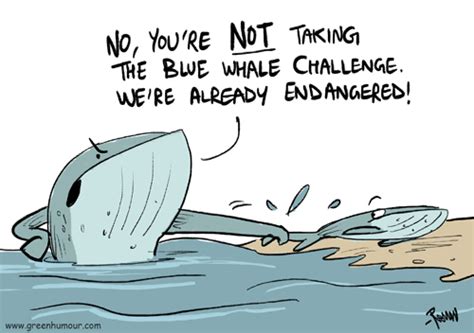 Green Humour Blue Whales And The Blue Whale Challenge
