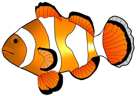 Fish Clip Art Clipart Best