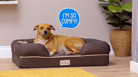Dog beds for large dogs chewy. PetFusion Dog Beds, Bowls & More | Chewy - YouTube
