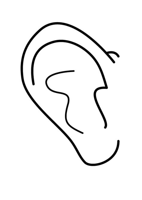 Some of the coloring pages shown here are elephant with wide ears coloring netart, elephant ears drawing at. Coloring Page ear - free printable coloring pages - Img 26932