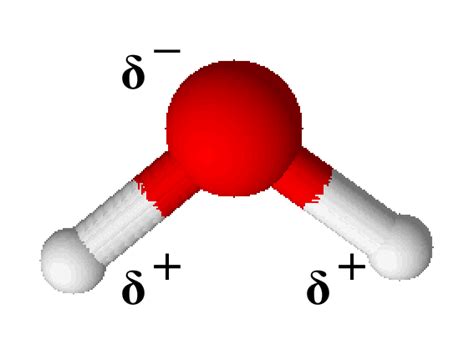 But why do viruses change? Chemie: 9. Klasse - Schulstoff.org