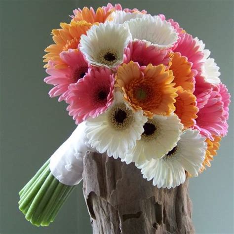 Rs, premier and high country seat seven. Megan and Michael in Traverse City, Michigan | Gerbera ...
