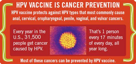Denmark was first, followed by norway and i would even now get vaccinated with the astrazeneca. Human papillomavirus vaccine mechanism action Human ...
